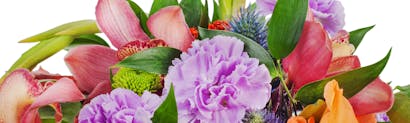 Miami Florist Flower Delivery Miami By Trias Flowers