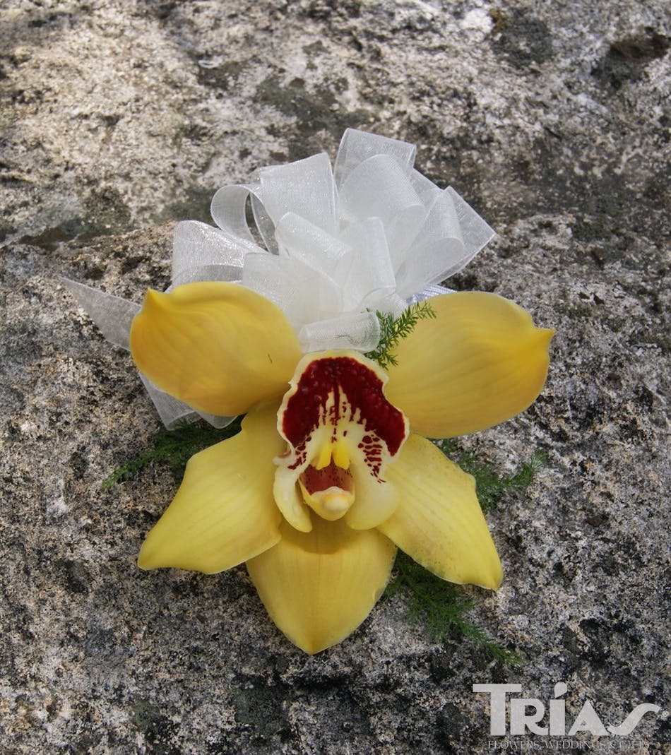 Corsage Yellow Cymbidium Orchid