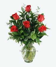 1/2 Dz Red Roses