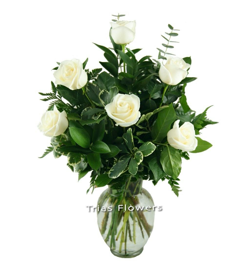 Miami FL White Rose Delivery Trias Flowers