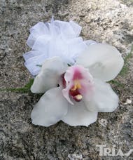 Corsage -White Cymbidium Orchid