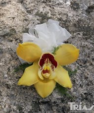 Corsage - Yellow Cymbidium Orchid
