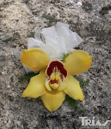 Corsage - Yellow Cymbidium Orchid