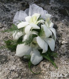 Corsage - White Dendrobium Orchids