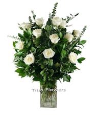 1 Dz White Roses
