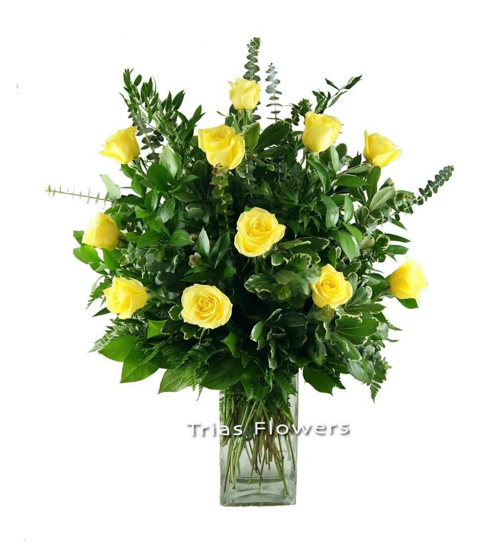 1 Dz Yellow Roses Trias Flowers Miami Florida