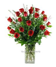 2 Dz Red Roses