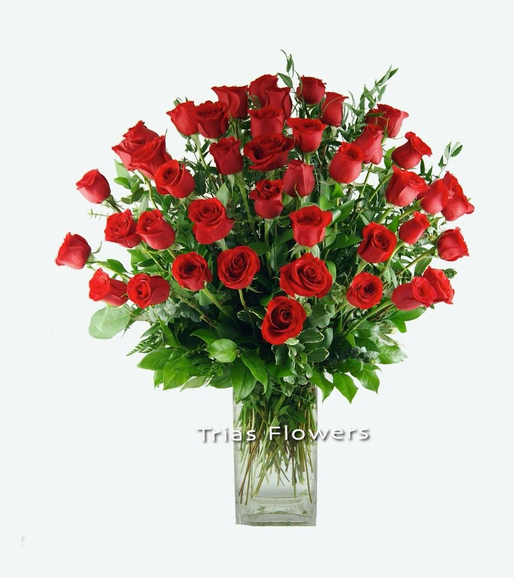 Miami FL Rose Delivery Trias Flowers & Gifts