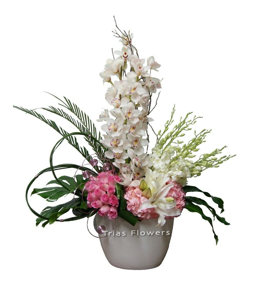 Pink Showpiece Miami (FL) SameDay Flower Delivery Trias Flowers