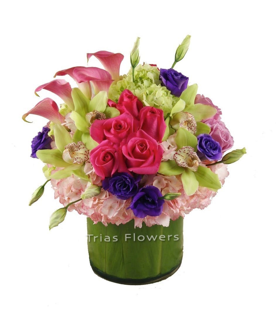 Local Miami FL Flower Delivery Trias Flowers