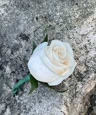 Boutonniere - White Rose