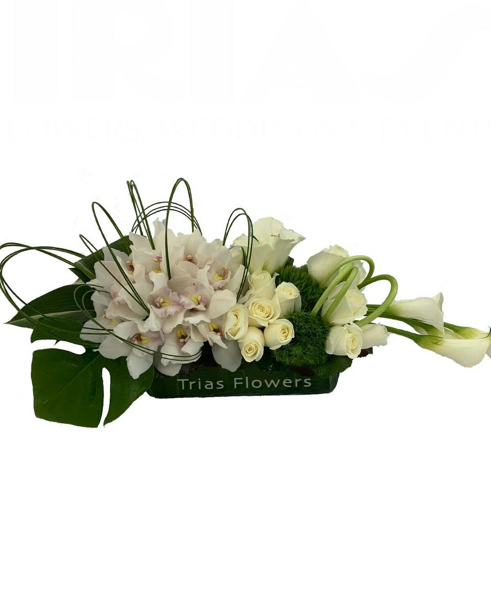 Calla Lilies from Trias Flower Miami Florida Florist