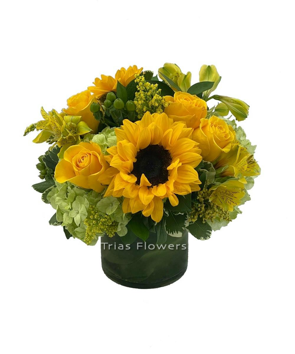 Miami Florist Flower Delivery Miami by Trias Flowers