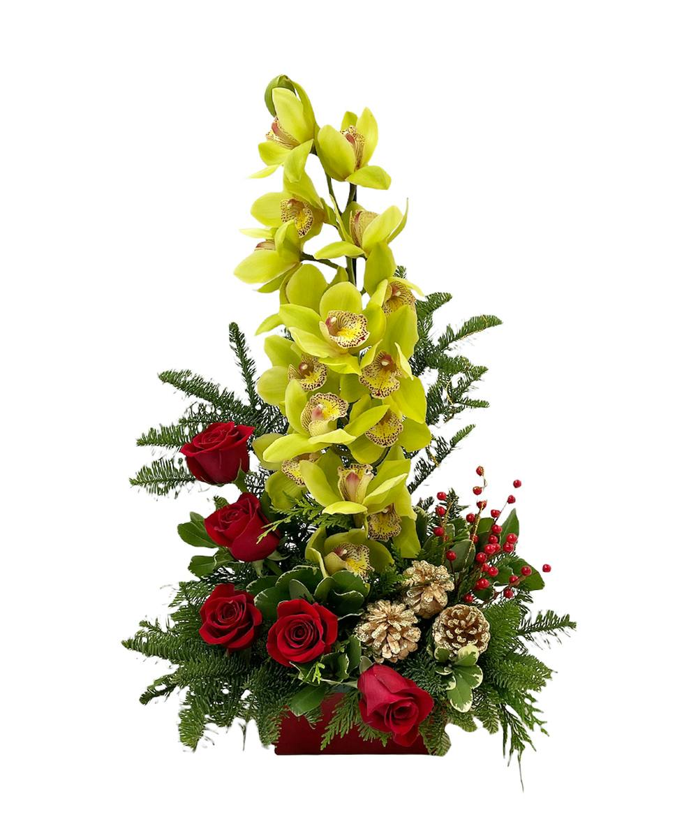 Holiday Stars Miami (FL) SameDay Flower Delivery Trias Flowers