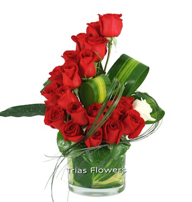 Red Rose Wave Bouquet | Miami Florist & Flower Delivery