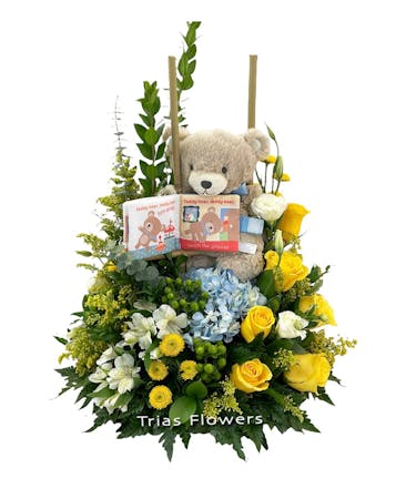 Baby Boy Teddy Puppet Book | Miami (FL) Same-Day Flower & Gift Delivery  | Trias Flowers